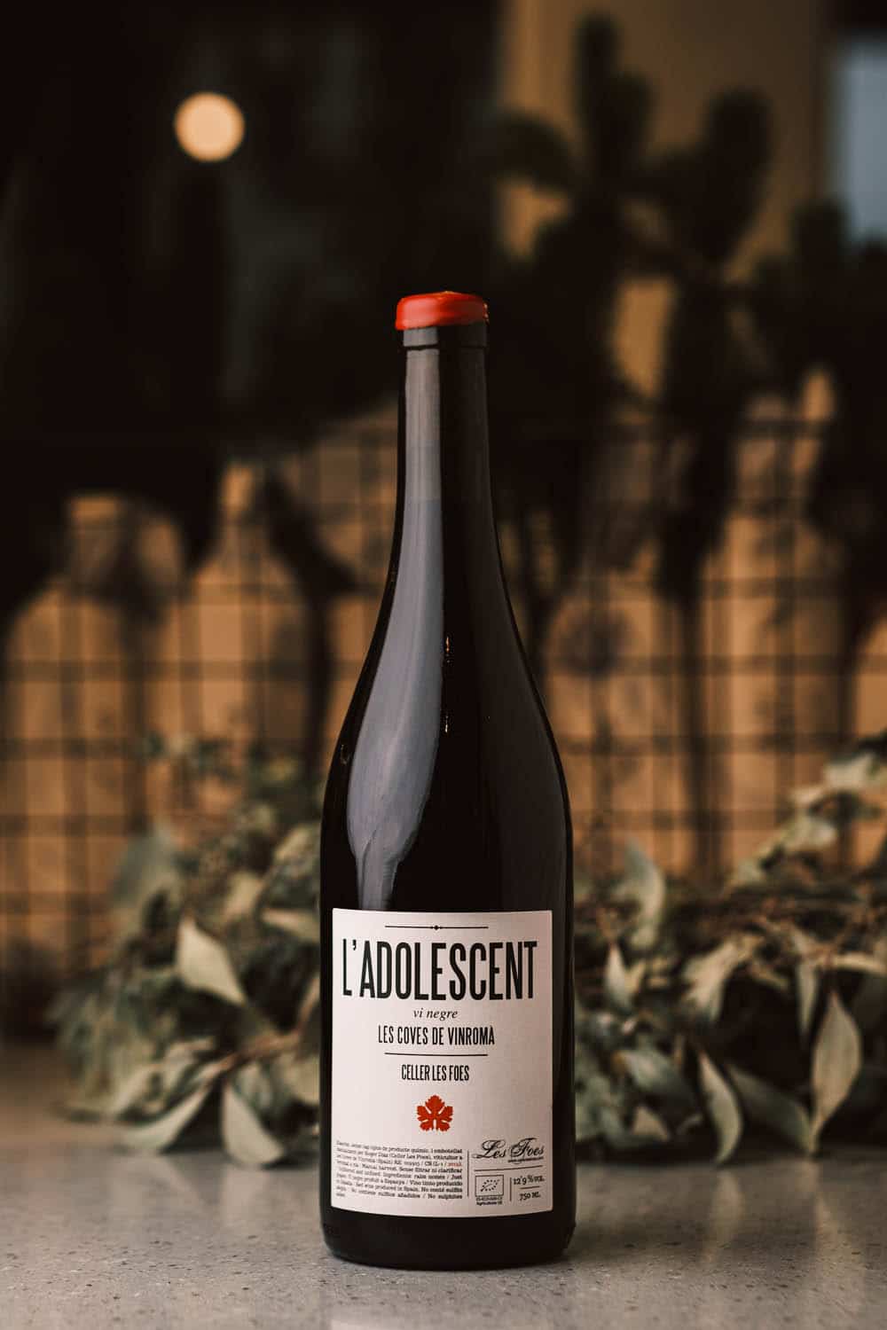L'Adolescent 2019